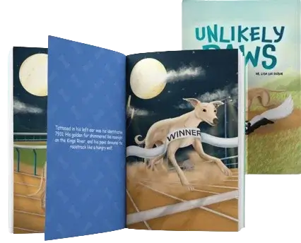 Amzn eBook Publishing 