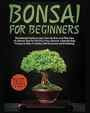 Amzn eBook Publishing 